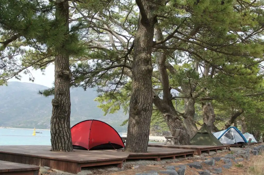 Family Tent Camping Tips Kentucky