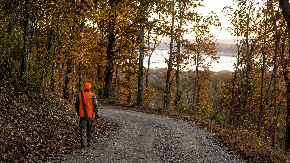 Hunting in Land Between the Lakes: What to Know