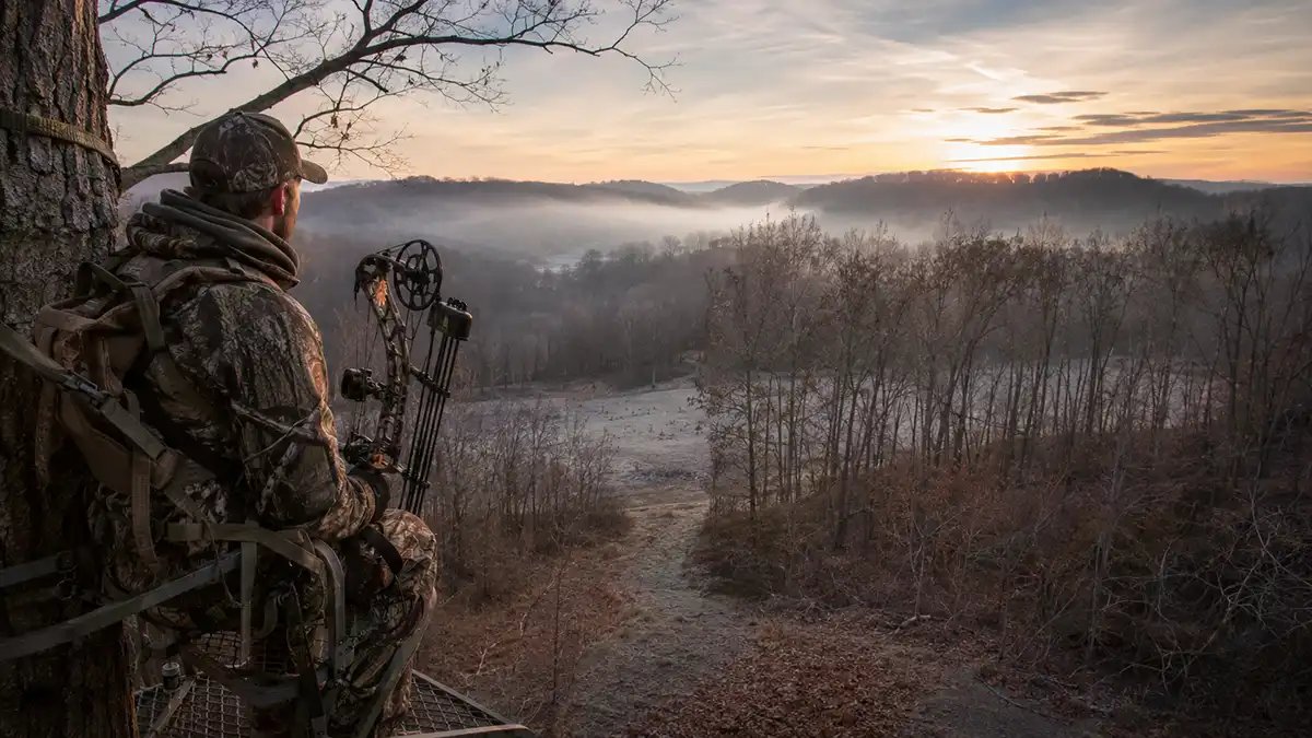 Kentucky Deer Season Guide: Seasons, Zones, and How to Prepare