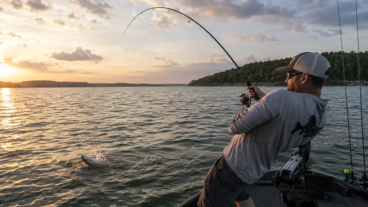 Striped Bass and Hybrid Striper Fishing in Kentucky