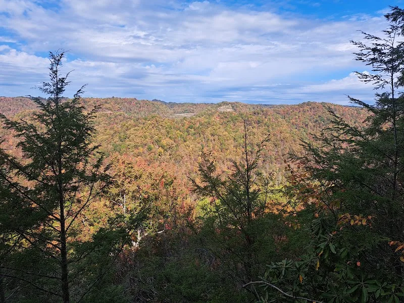 Grassy Creek Overlook