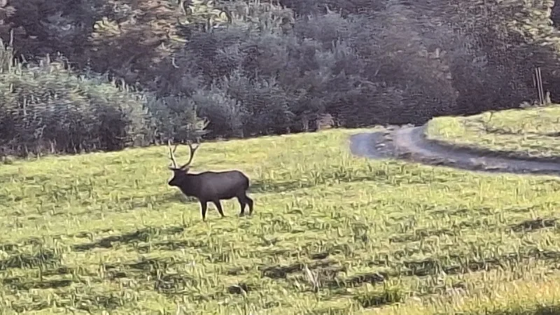 Elk Conservation Area