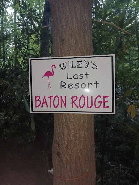 Baton Rouge (Wiley's Last Resort)