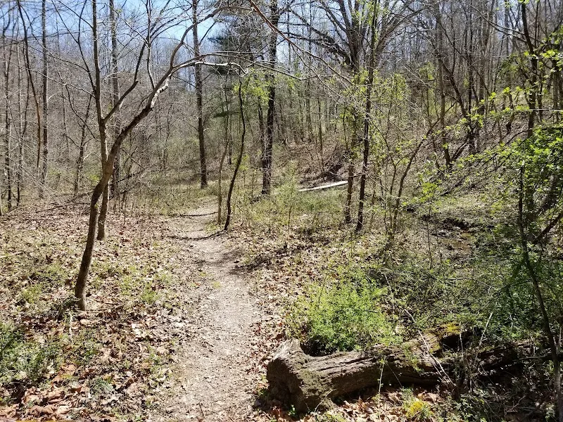 Jesse Stuart State Nature Preserve