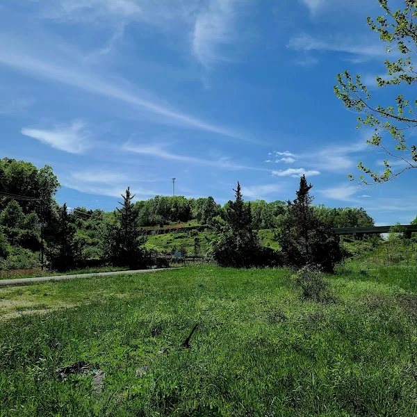 Peaceful Park Views
