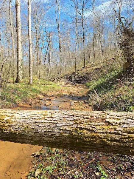 Clay Hill Memorial Forest