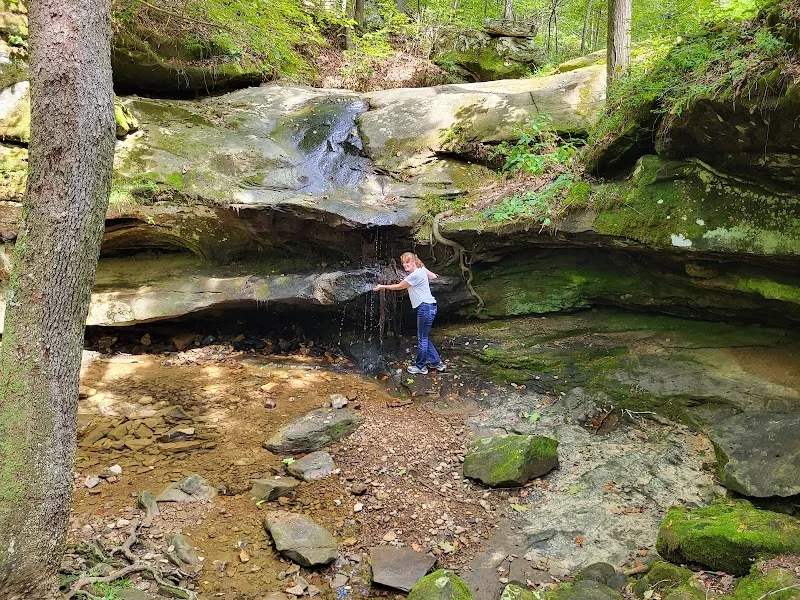 Pennyrile Forest