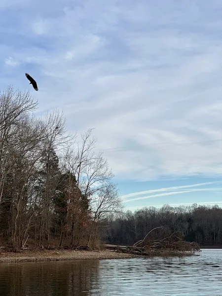 Drydens Creek Boatramp
