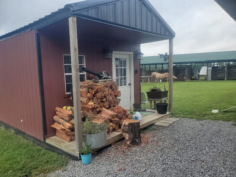 Noble Pine Cabins, Glamping, & Horse Camp