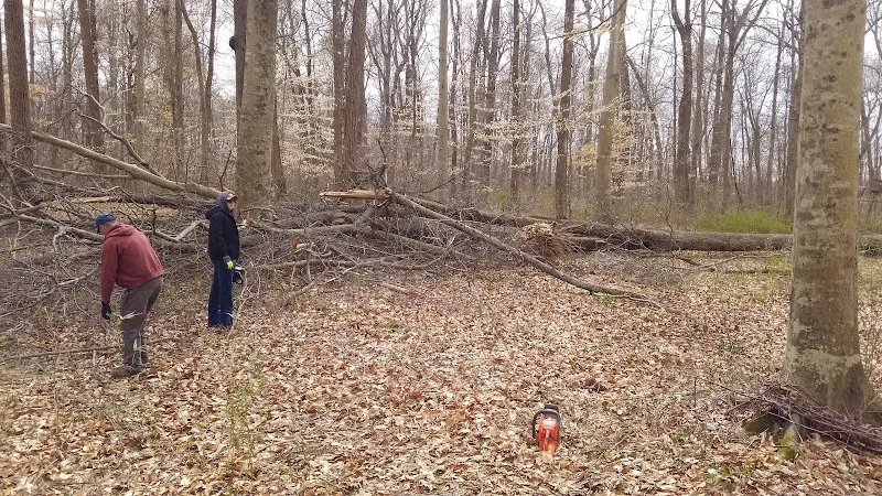 Star Mills BSA Campground