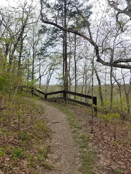 Coppiced Woods Trail