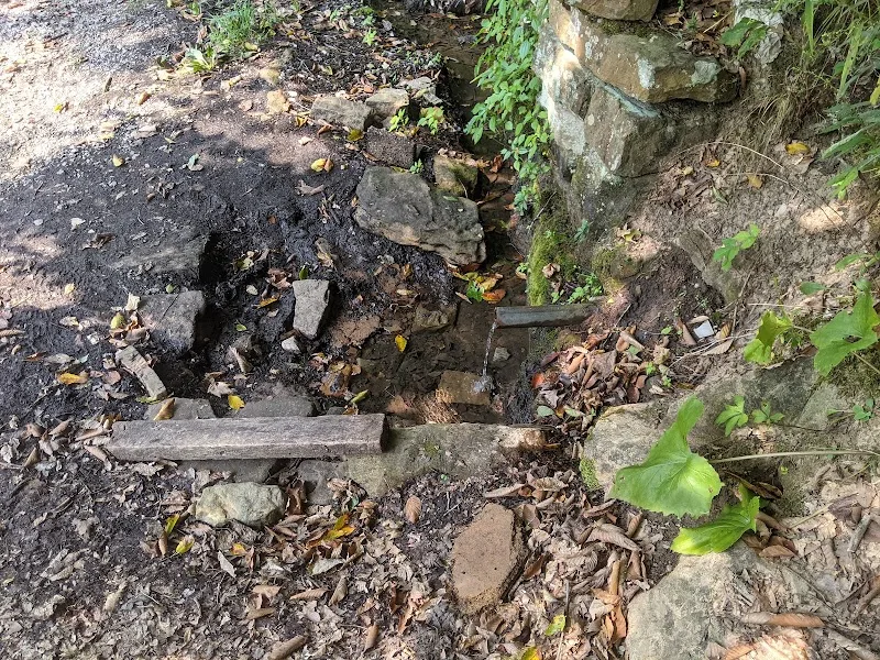 The TC Young Mountain Spring