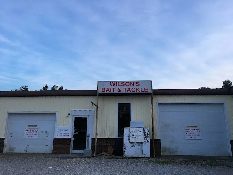Wilson's Bait & Tackle Inc