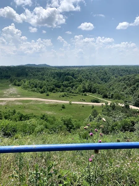 Elk View