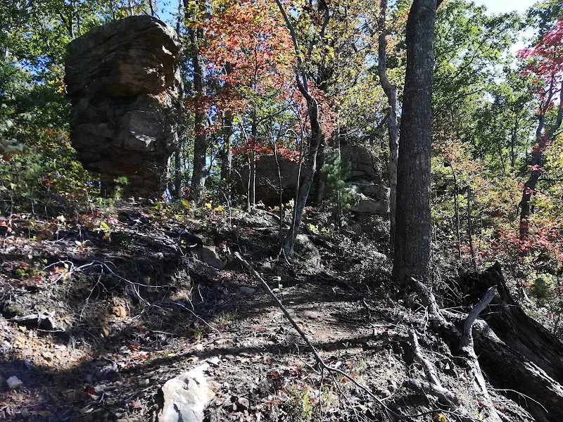 Hester Brashear Hollow