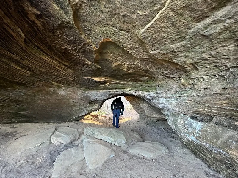 Turtle Back Arch
