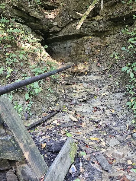 Local Spring