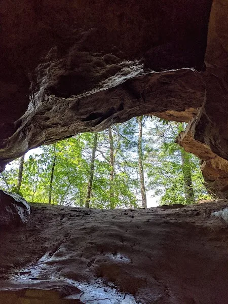 Whistling Arch