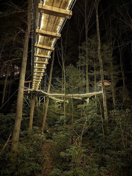 Turtle Dome Treehouse