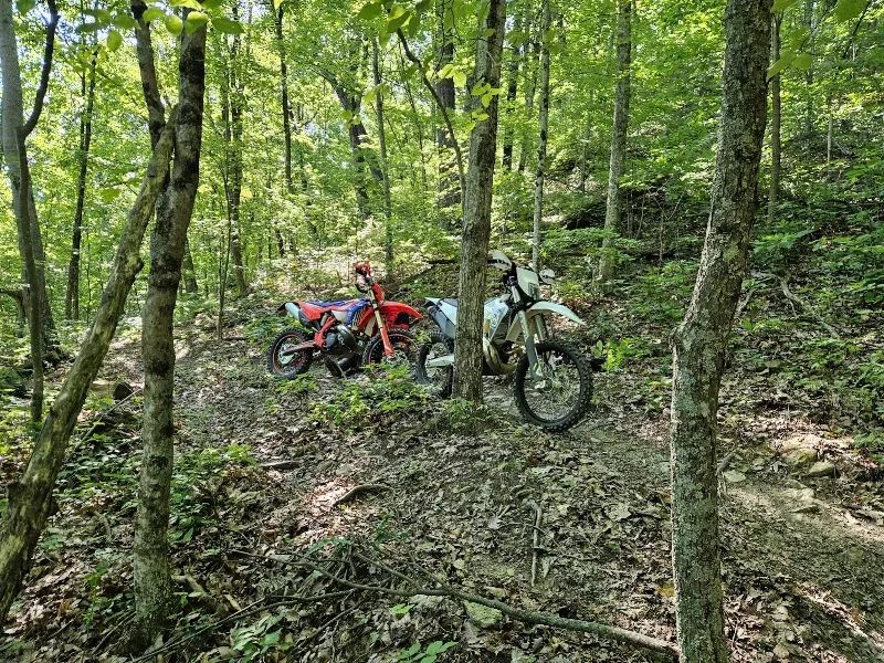 The Holler