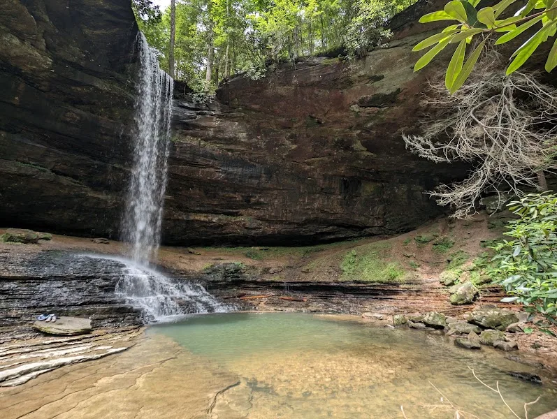 Colditz Cove State Natural Area