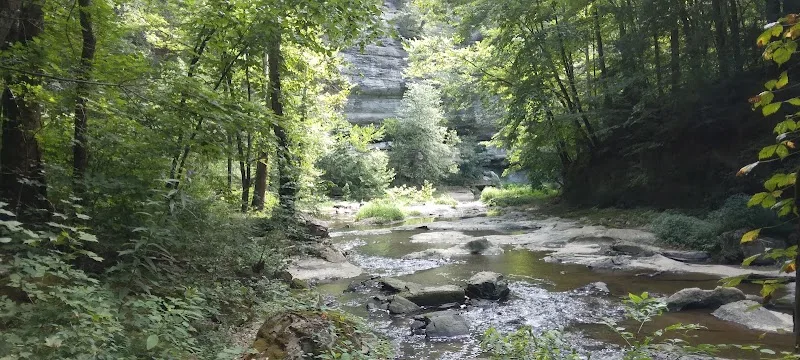 Town Branch Falls