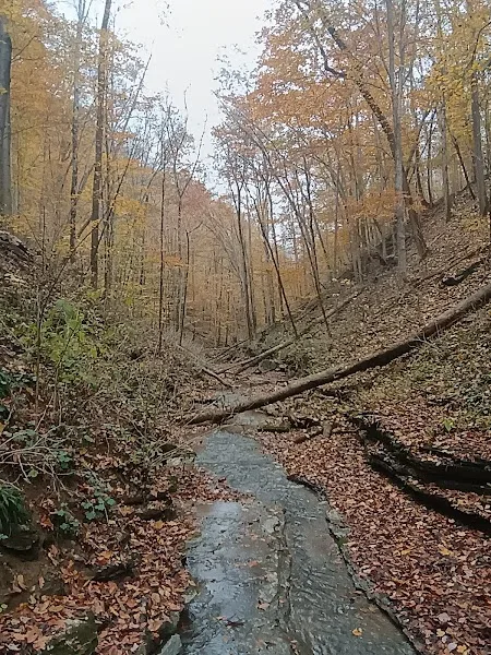 Washmorgan Hollow