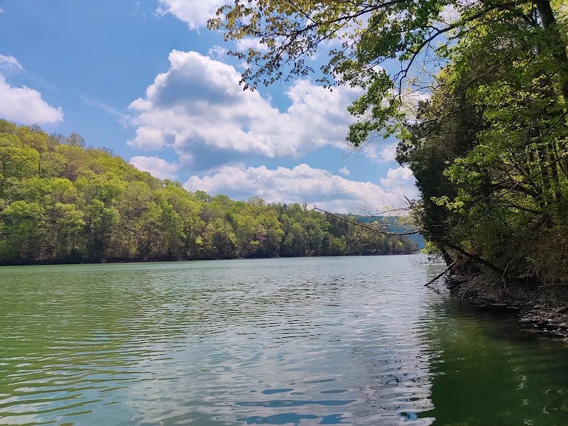 Dale Hollow Marina