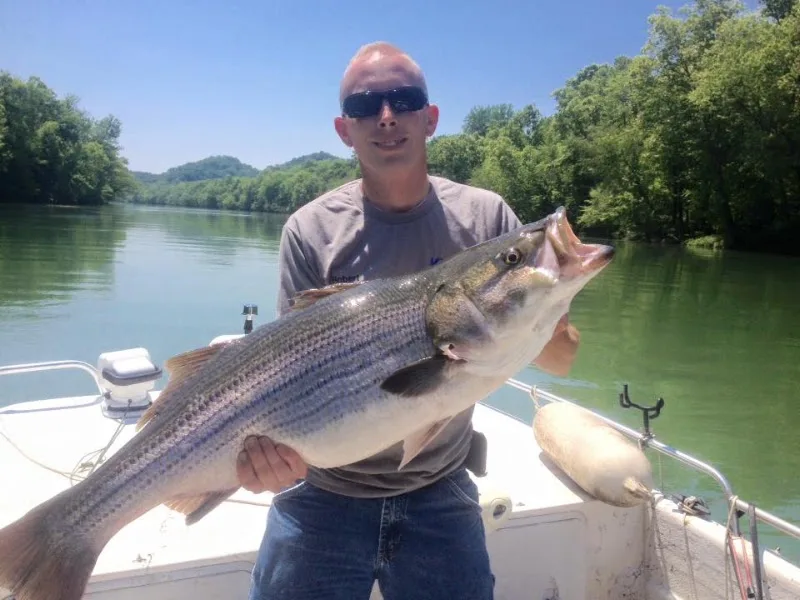 KY-TN Trophy Fishing Guides