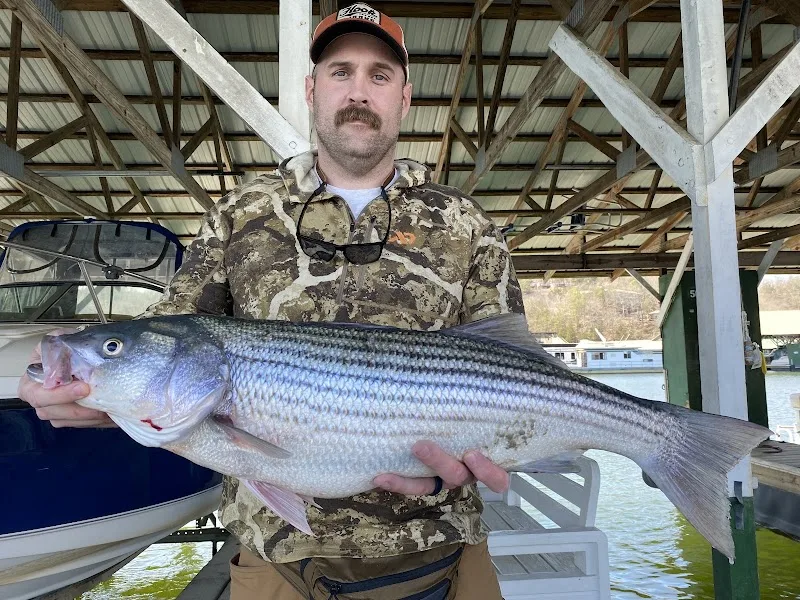 Striper king Guide Service