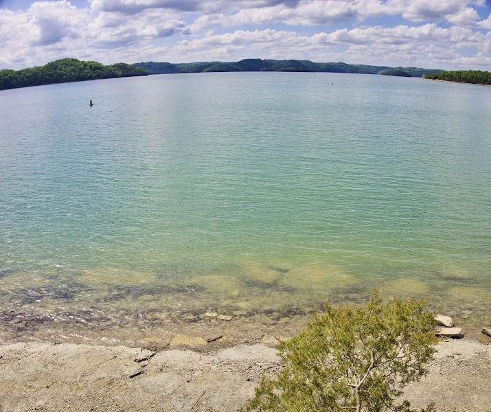 Willow Grove Resort & Marina, LLC